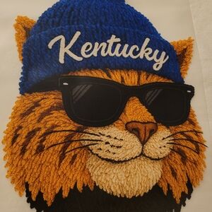 Blue And Orange Wildcat Your Choicw Of Sweatshirt Or Hoodie Your Size And Color